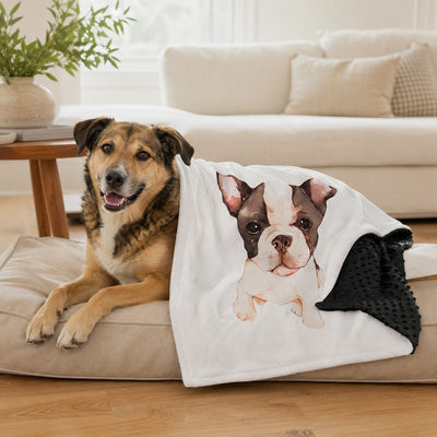 Malloren Layered Minky Pet Comfort Blanket for Dog Beds, Quiet Corners & Noisy Moments
