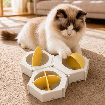 Malloren Modular Cat Puzzle Feeder Toy for Indoor Treat Time - Hexagon Slow Feeder Enrichment Game to Keep Bored Cats Busy