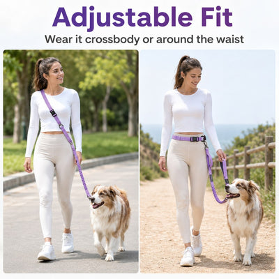 Malloren Hands-Free Shock-Absorbing Dog Leash for Running, Walking & Car Travel - Bungee Leash Helps Reduce Pulling