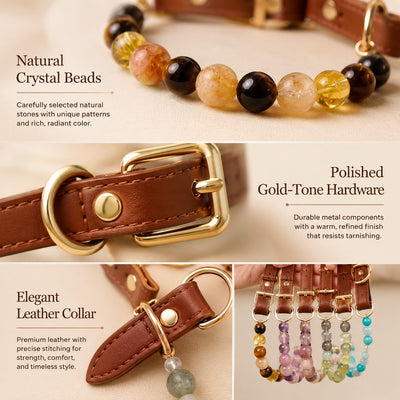 Malloren Four Elements Crystal Pet Collar Gift Box for Cats & Small Dogs - Photo-Ready Astrology Pet Jewelry for Birthdays, Holidays & Meaningful Pet Gifts