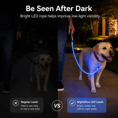 Malloren NightGlow LED Light-Up Dog Leash for Night Walks - USB Rechargeable Safety Leash That Helps Your Dog Stay Visible in the Dark