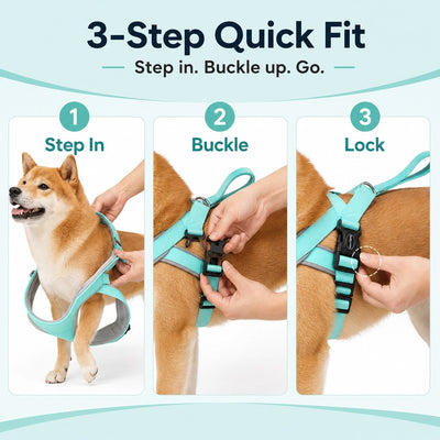 Malloren Quick-Fit Lightweight Dog Harness & Leash Set for Daily Walks - No-Choke Step-In Comfort with Secure Buckle & Back Control Handle