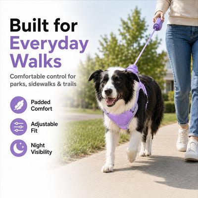 Malloren No-Pull Reflective Dog Harness with Built-In Retractable Leash for Safer Daily Walks
