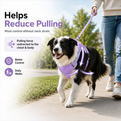 Malloren No-Pull Reflective Dog Harness with Built-In Retractable Leash for Safer Daily Walks