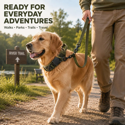 Malloren AirTag-Compatible Tactical Dog Collar with Control Handle - Close Control for Walks, Trails & Busy Areas