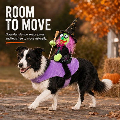 Malloren 3D Witch Rider Halloween Pet Costume for Trick-or-Treating, Parties & Photos – Instant Funny Look for Dogs & Cats