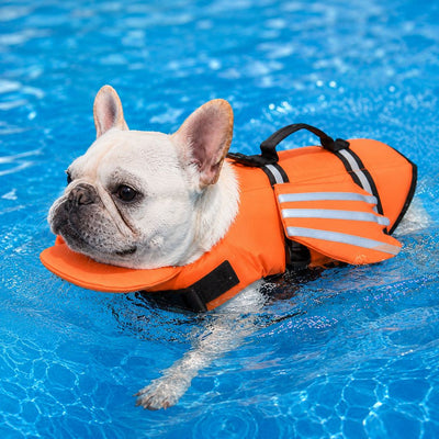 Malloren French Bulldog Pool & Beach Reflective Angel-Wing Dog Life Jacket - Chin Float Support for Flat-Faced Dogs