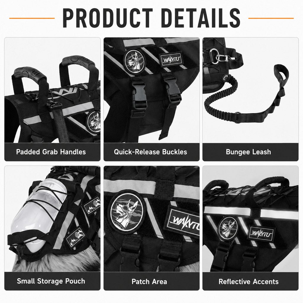 Malloren Outdoor Dog Harness & Bungee Leash Set with Dual Handles, Storage Pouch & Patch Accessories for Hiking, Walking and Everyday Adventures