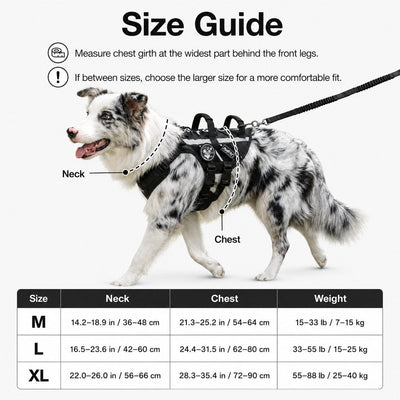 Malloren Outdoor Dog Harness & Bungee Leash Set with Dual Handles, Storage Pouch & Patch Accessories for Hiking, Walking and Everyday Adventures