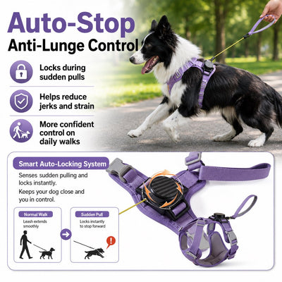 Malloren 2-in-1 Retractable Dog Harness for Daily Walks - Built-In Leash Vest with Auto-Stop Control for Small & Medium Dogs