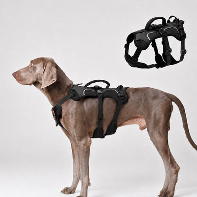 Malloren AirTag-Compatible Escape-Resistant Dog Harness for Outdoor Walks - Secure Control for Dogs That Pull