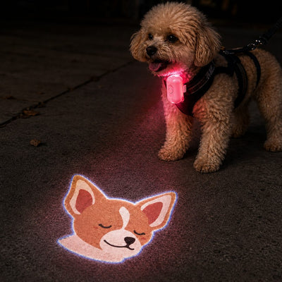 Malloren PawGlow Pink Breed Projector Dog Light for Night Walks - USB Rechargeable Clip-On Pet Light for Extra Visibility & Fun