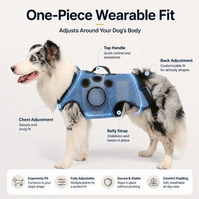 Malloren PawLift Denim Hands-Free Dog Carrier Backpack Harness for Walks, Shopping & Outdoor Trips - Carry Tired Dogs Without Arm Strain