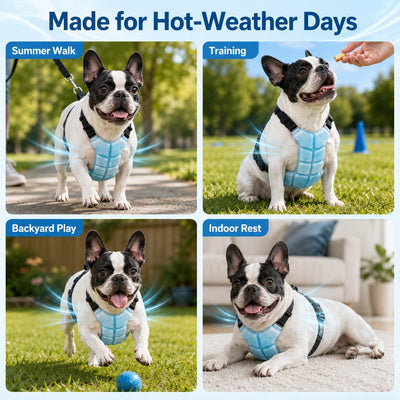 Malloren Reusable PCM Pet Cooling Vest for Summer Walks & Outdoor Play - No Electricity Cooling Harness for Dogs & Cats