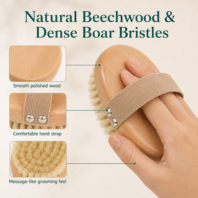 Malloren Frenchie Daily Grooming Kit for After-Walk & Between-Bath Care - Boar Bristle Brush + Rinse-Free Cleaning Gloves