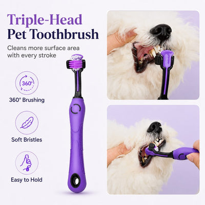 Malloren 9-Piece Pet Grooming Kit for Dogs & Cats – At-Home Grooming Solution for Shedding, Nail Care & Detangling (Travel-Friendly Case)