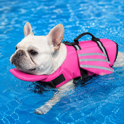 Malloren French Bulldog Pool & Beach Reflective Angel-Wing Dog Life Jacket - Chin Float Support for Flat-Faced Dogs