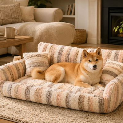 Malloren Cozy Plush Dog Sofa Bed for Living Rooms - Soft Bolstered Support for Everyday Naps