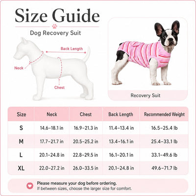 Malloren Breathable Dog Recovery Suit for Spay & Neuter Recovery, Soft Cone Alternative Onesie to Help Reduce Licking After Surgery