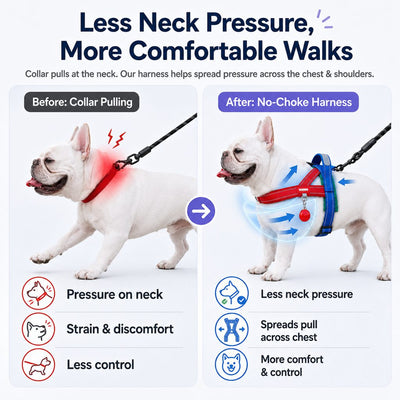 Malloren No-Choke French Bulldog Harness & Leash Set for Daily Walks - Reflective, Easy-Control Fit for Broad-Chest Dogs