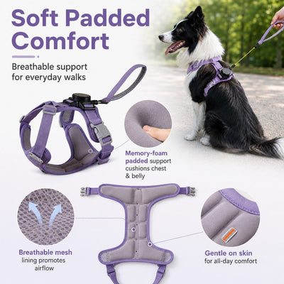 Malloren 2-in-1 Retractable Dog Harness for Daily Walks - Built-In Leash Vest with Auto-Stop Control for Small & Medium Dogs
