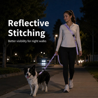 Malloren Hands-Free Shock-Absorbing Dog Leash for Running, Walking & Car Travel - Bungee Leash Helps Reduce Pulling