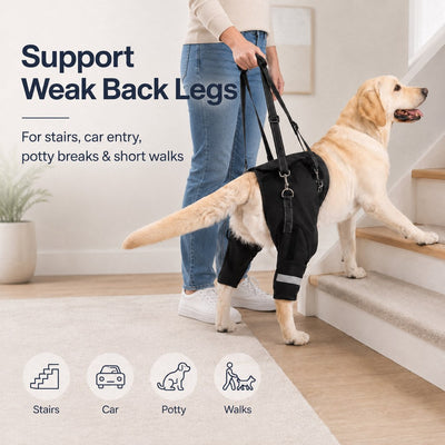 Malloren Help Your Senior Dog Climb Stairs, Get in the Car & Walk with Rear-Leg Support