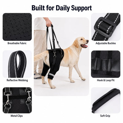 Malloren Help Your Senior Dog Climb Stairs, Get in the Car & Walk with Rear-Leg Support