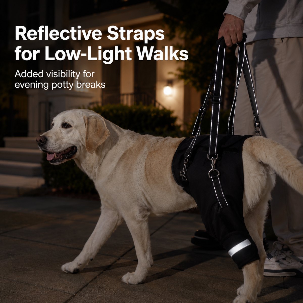 Malloren Help Your Senior Dog Climb Stairs, Get in the Car & Walk with Rear-Leg Support