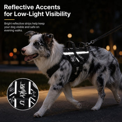 Malloren Outdoor Dog Harness & Bungee Leash Set with Dual Handles, Storage Pouch & Patch Accessories for Hiking, Walking and Everyday Adventures