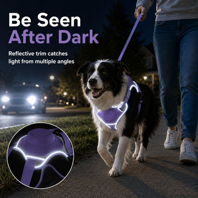 Malloren No-Pull Reflective Dog Harness with Built-In Retractable Leash for Safer Daily Walks