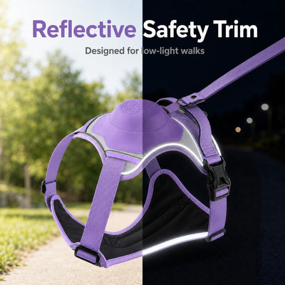 Malloren No-Pull Reflective Dog Harness with Built-In Retractable Leash for Safer Daily Walks