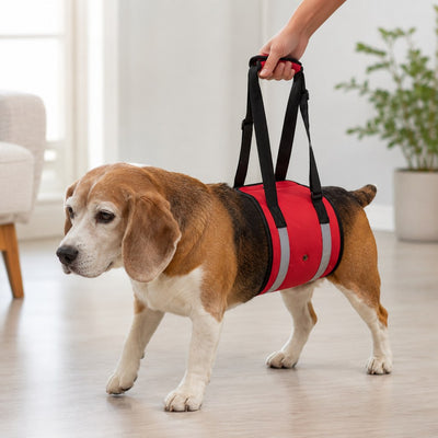 Malloren Reflective Dog Lift Support Sling - Belly Assist for Dogs with Limited Mobility on Stairs, Walks & Car Entry