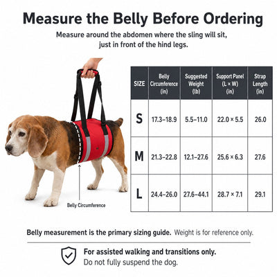 Malloren Reflective Dog Lift Support Sling - Belly Assist for Dogs with Limited Mobility on Stairs, Walks & Car Entry