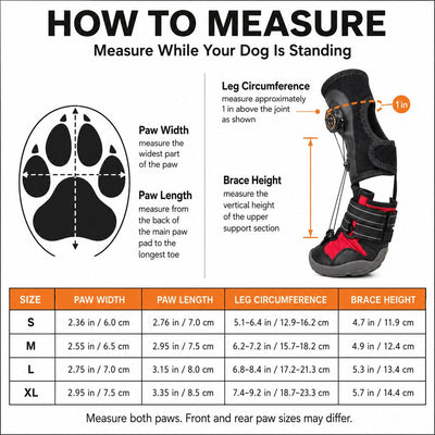 Malloren Adjustable Tension-Dial Dog Paw-Lift Support Boots – For Indoor Floors & Outdoor Walks, Paw Dragging & Scuffing Support