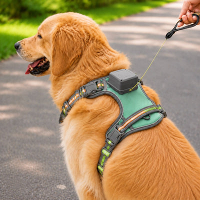 Malloren 2-in-1 Reflective Dog Harness with Built-In Retractable Leash for Daily Walks - Close Control for Pulling Dogs