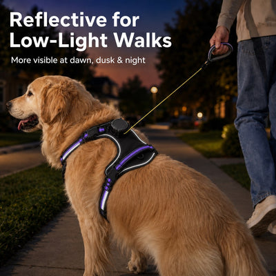 Malloren 2-in-1 Reflective Dog Harness with Built-In Retractable Leash for Daily Walks - Close Control for Pulling Dogs