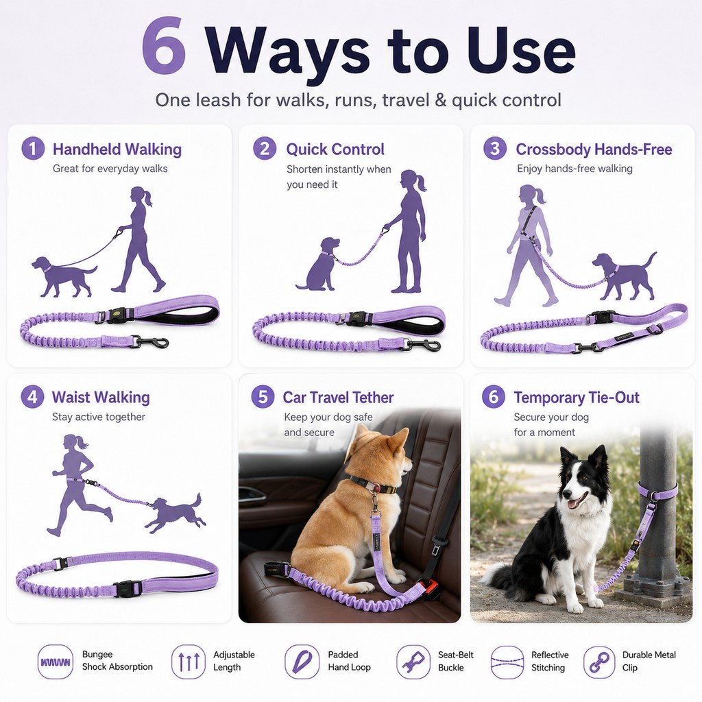 Malloren Hands-Free Shock-Absorbing Dog Leash for Running, Walking & Car Travel - Bungee Leash Helps Reduce Pulling