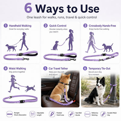 Malloren Hands-Free Shock-Absorbing Dog Leash for Running, Walking & Car Travel - Bungee Leash Helps Reduce Pulling