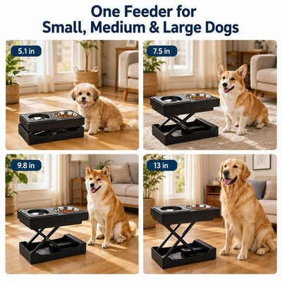 Malloren Remote-Control Adjustable Dog Feeding Station for Home Meals - Helps Reduce Neck Bending, Slow Fast Eating & Keep Floors Cleaner