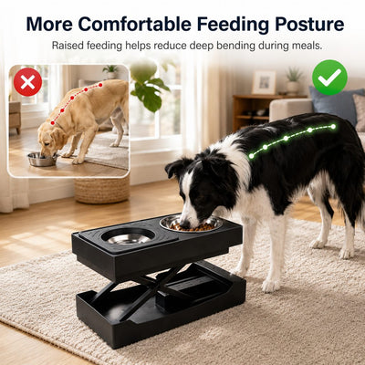 Malloren Remote-Control Adjustable Dog Feeding Station for Home Meals - Helps Reduce Neck Bending, Slow Fast Eating & Keep Floors Cleaner