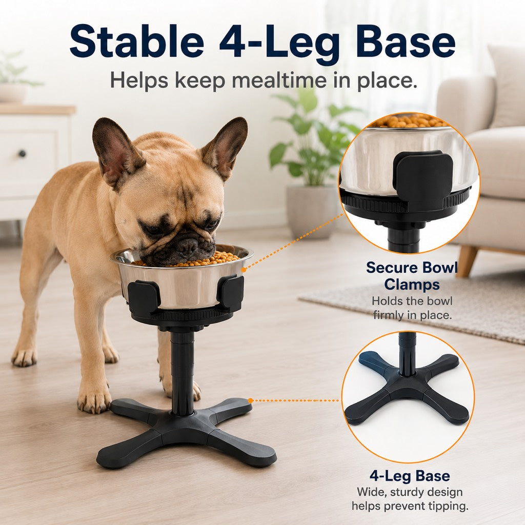 Malloren French Bulldog Adjustable Elevated Tilted Dog Bowl for Kitchen Feeding Corners - 3-Height Stand with Slow Feeder Insert to Reduce Neck Bending & Mess