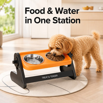 Malloren Adjustable Elevated Stainless Steel Pet Bowls for Cats & Small Dogs - Tilted Feeding Station for Easier Mealtime & Less Floor Mess