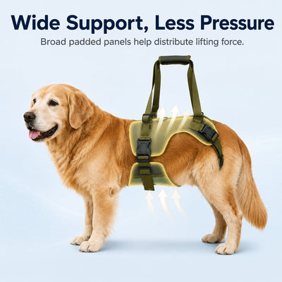 Malloren Rear Support Dog Lift Harness for Stairs, Walks & Recovery - Padded Assist Harness for Senior, Injured & Weak-Hind-Leg Dogs