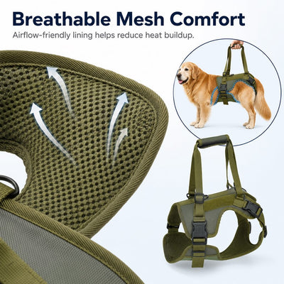 Malloren Rear Support Dog Lift Harness for Stairs, Walks & Recovery - Padded Assist Harness for Senior, Injured & Weak-Hind-Leg Dogs