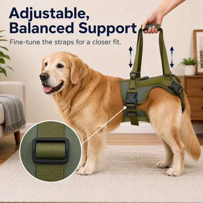 Malloren Rear Support Dog Lift Harness for Stairs, Walks & Recovery - Padded Assist Harness for Senior, Injured & Weak-Hind-Leg Dogs