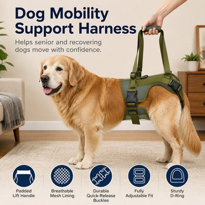 Malloren Rear Support Dog Lift Harness for Stairs, Walks & Recovery - Padded Assist Harness for Senior, Injured & Weak-Hind-Leg Dogs