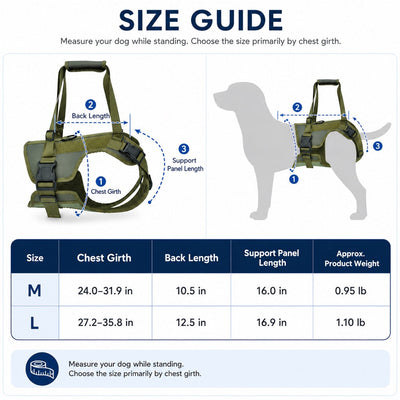 Malloren Rear Support Dog Lift Harness for Stairs, Walks & Recovery - Padded Assist Harness for Senior, Injured & Weak-Hind-Leg Dogs
