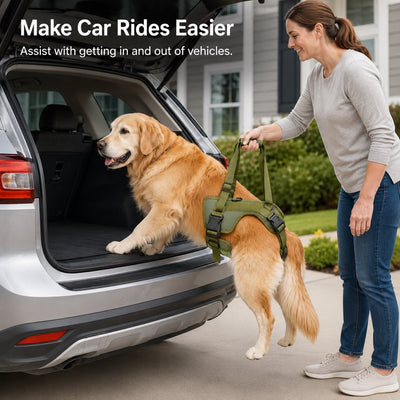 Malloren Rear Support Dog Lift Harness for Stairs, Walks & Recovery - Padded Assist Harness for Senior, Injured & Weak-Hind-Leg Dogs
