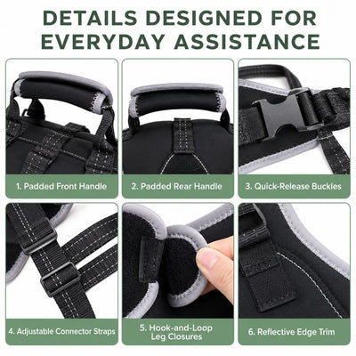 Malloren Full-Body Dog Lift Harness with Dual Rear-Leg Support - Easier Standing, Stairs & Car Entry